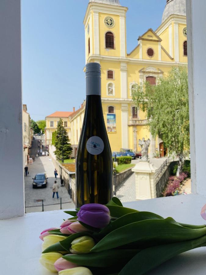 Urania Apartmanhaz Eger Buitenkant foto